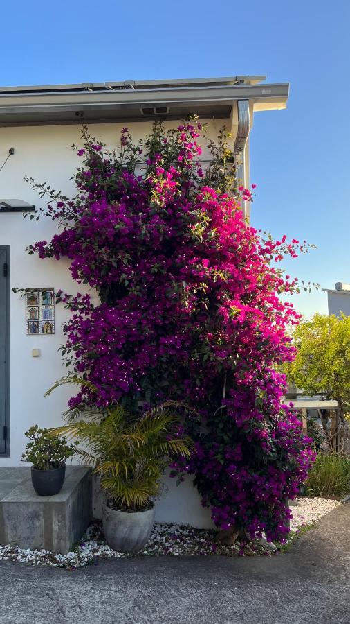 Plumeria Holidays Saint Pierre Extérieur photo