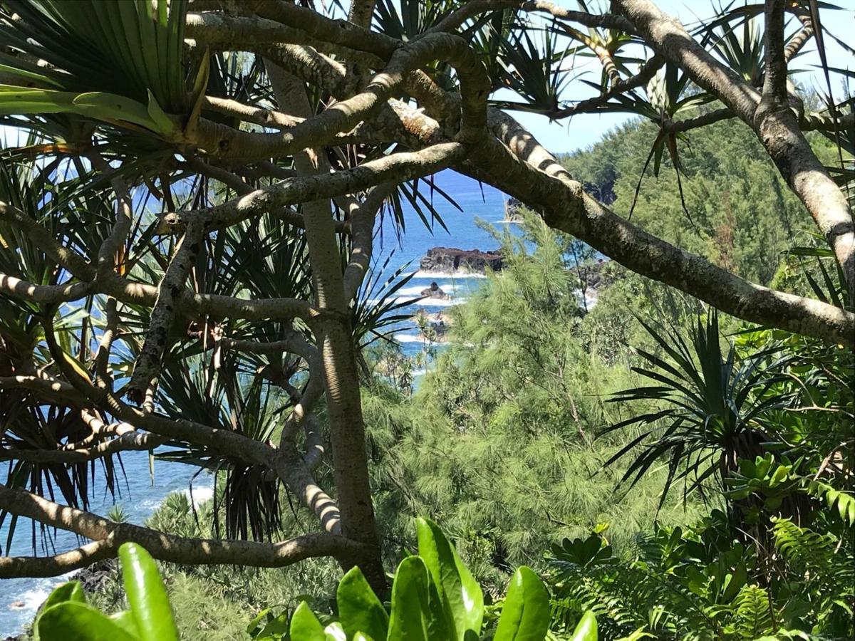 Plumeria Holidays Saint Pierre Extérieur photo